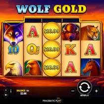 Spin247 - Wolf Gold Slot Game - Jackpoty i Free Spiny